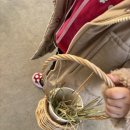 형제사슴목장 이미지