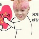 꽁냥꽁냥 Daum카페