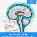 아미타불의 극락정토 6 이미지