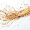 백삼농장 이미지