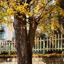 삼정아이세상어린이집 이미지