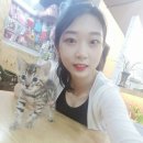 참조은펫 네이버블로그