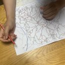일호사진인쇄 | 오늘 일기 : 4