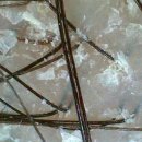 다모드림의원 이미지