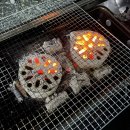 해오름 풀빌라 펜션 이미지