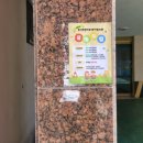 옥성초등 병설 이미지