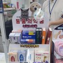 대구수성동물약국 이미지