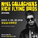 하이플라잉
