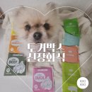 저단10 | 강아지 신장 관리 필수! 도거박스 신장화식 저단저지 샘플팩 석류의 솔직 후기