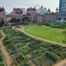 임병택 농장 이미지