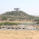 빛가람곤충
