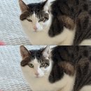 ㈜코리아세븐 오류점 | [일상] 오래오래 생각해도 됨 ! 👾