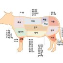 대동명품한우 이미지