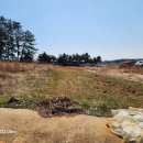 마하공인중개사사무소 이미지