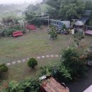 더 스테이584 이미지