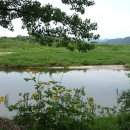 무주화원 이미지