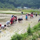 품실채마을 이미지