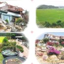 순이민박 이미지