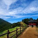 제1273차 10/21(화) 계양산, 아라드림숲카페, 계양아라온 이미지