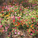 미스터홈즈부동산중개 경기북부센터 이미지