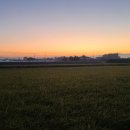 팔각정 공원 이미지