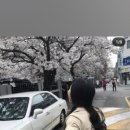 삼호미션 이미지