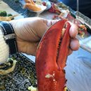 기분좋은날 대게,회,펜션 이미지