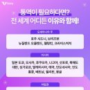 이유통역가이드
