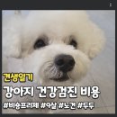 에이스동물병원 | 노견 강아지 건강검진 비용 주기 (feat. 에이스동물병원 미용 후기)