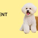 우리메디 이미지