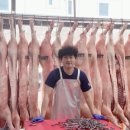 청원정육 이미지