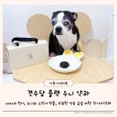 와와네 수제간식 | 견수담 블랙우니약과 강아지설날 선물로 좋은 프리미엄간식