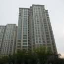 늘푸른1길 이미지