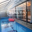 금남면사무소 | 아이와 함께 세종 여행 숙소: DMZ 펜션, 전용 풀에서 신나게 놀았던 찐 후기!