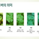 천운농장 이미지