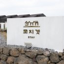 스테이두모 | 제주도펜션 감성 가득한 제주도풀빌라 코지갯스테이 아이랑 다녀온 후기 ( ˆ͈̑꒳ˆ͈̑ )