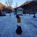 늘푸른쉼터캠핑장 이미지