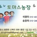 엔미디어 - 동구 자성로141번길 11 | 엔미디어