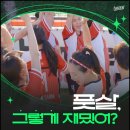 노원스포츠남양주