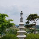 서산 갯마을 축제 & 황금산 등반 이미지