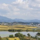 황금사슴농장 이미지