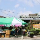 돌체커피호프 이미지