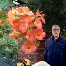 은여울공원 이미지