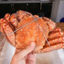 수망관광휴양펜션 이미지