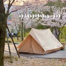 필오토 | 울산 울주 작천정 별빛야영장 데크27번후기 4월 벚꽃필때 야영데크냐 오토캠핑이냐
