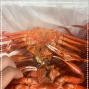 킹수산 이미지