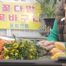 꽃보다예쁘개 이미지