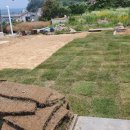 스토리민박 이미지