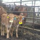 달맞이목장 이미지