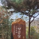 충남 청양 신원리 산림경영숲(20) 이미지